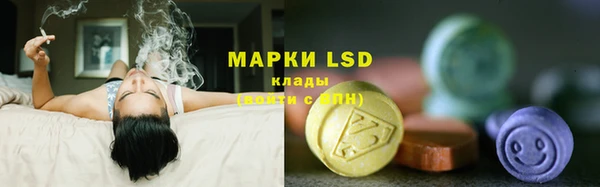 гидра Каменск-Шахтинский