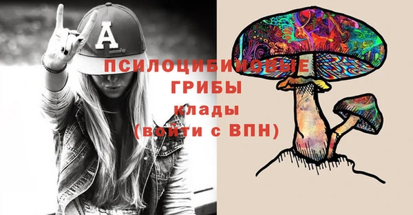 гидра Каменск-Шахтинский