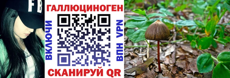 Псилоцибиновые грибы Psilocybine cubensis  Купить  Боровск 